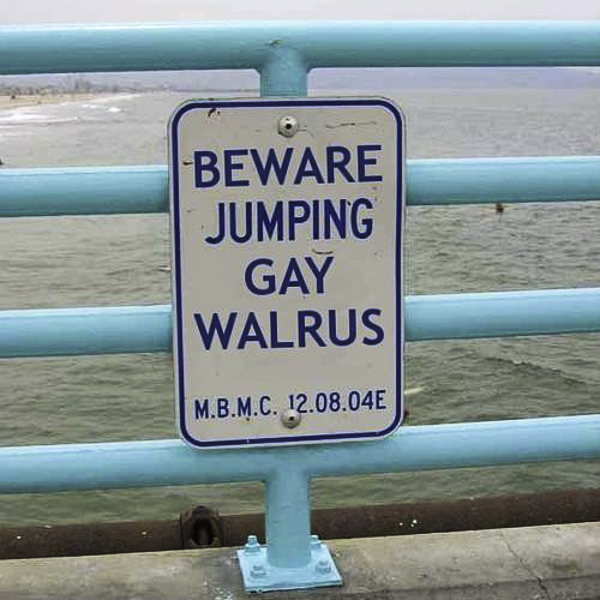 Uważaj skacząc, homoseksualny mors